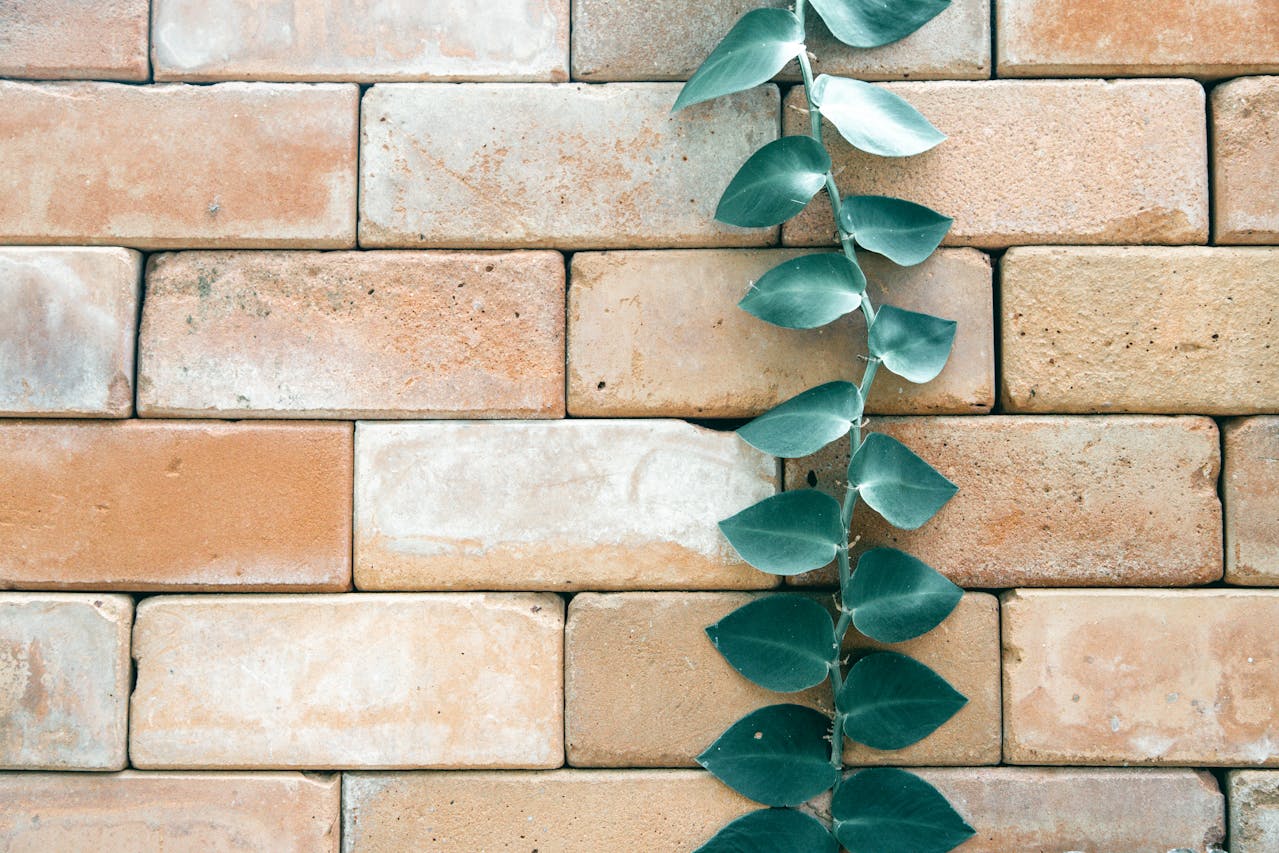 Buitenmuren mooier maken met buitenstuc