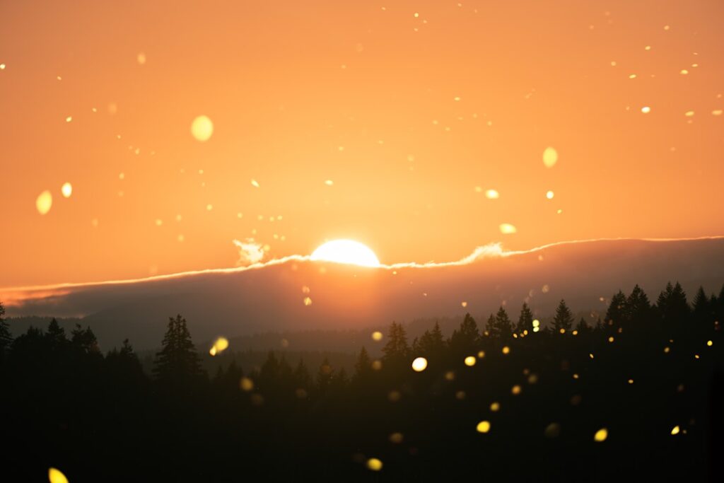 Alles wat je wilt weten over led verlichting