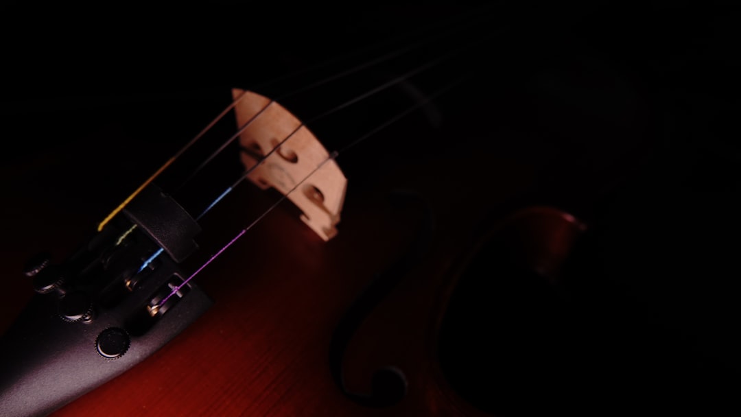 Sfeervolle tuin en terras met buitenverlichting snoer