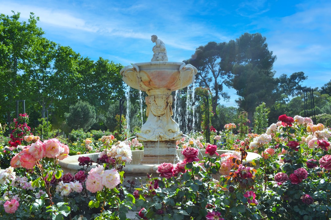 Tuinverlichting kiezen: praktische tips voor een sfeervolle avondtuin